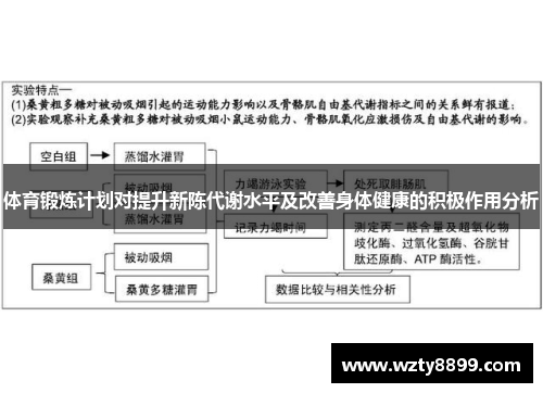 体育锻炼计划对提升新陈代谢水平及改善身体健康的积极作用分析